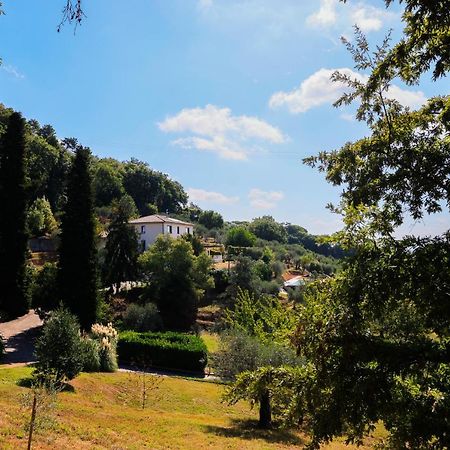 Agriturismo Terra Volonteri 蒙特卡蒂尼泰尔梅 外观 照片