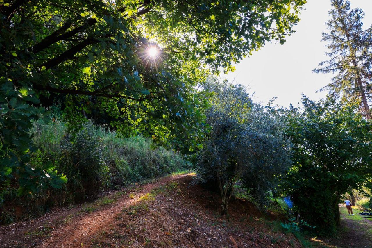 Agriturismo Terra Volonteri 蒙特卡蒂尼泰尔梅 外观 照片