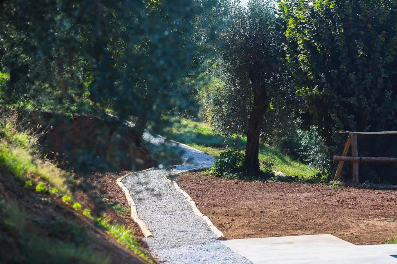 Agriturismo Terra Volonteri 蒙特卡蒂尼泰尔梅 外观 照片