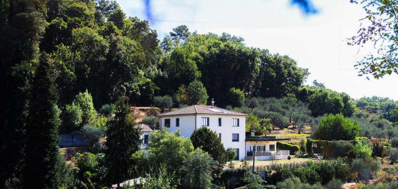 Agriturismo Terra Volonteri 蒙特卡蒂尼泰尔梅 外观 照片
