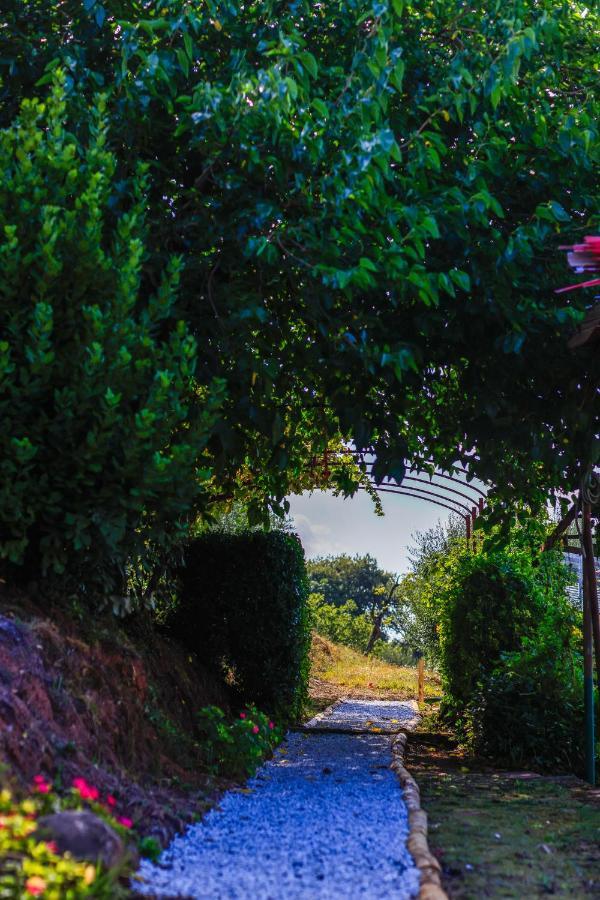 Agriturismo Terra Volonteri 蒙特卡蒂尼泰尔梅 外观 照片