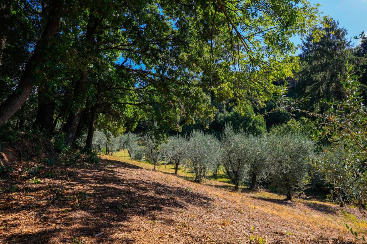 Agriturismo Terra Volonteri 蒙特卡蒂尼泰尔梅 外观 照片