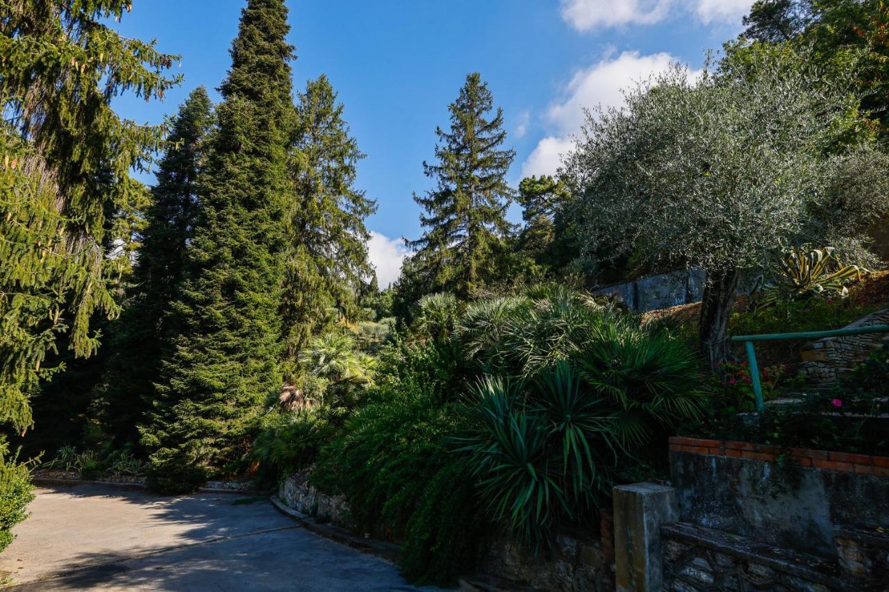 Agriturismo Terra Volonteri 蒙特卡蒂尼泰尔梅 外观 照片