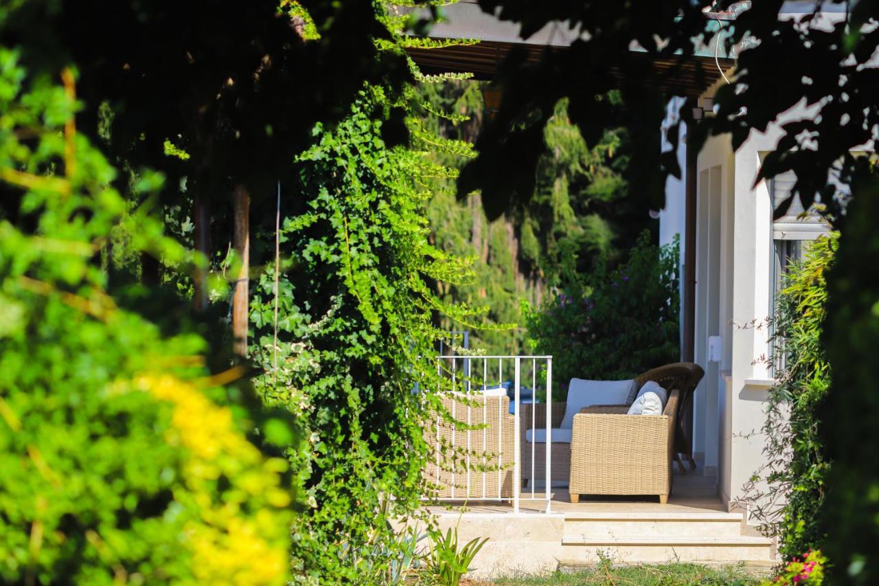 Agriturismo Terra Volonteri 蒙特卡蒂尼泰尔梅 外观 照片