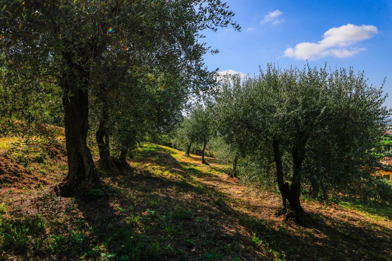 Agriturismo Terra Volonteri 蒙特卡蒂尼泰尔梅 外观 照片