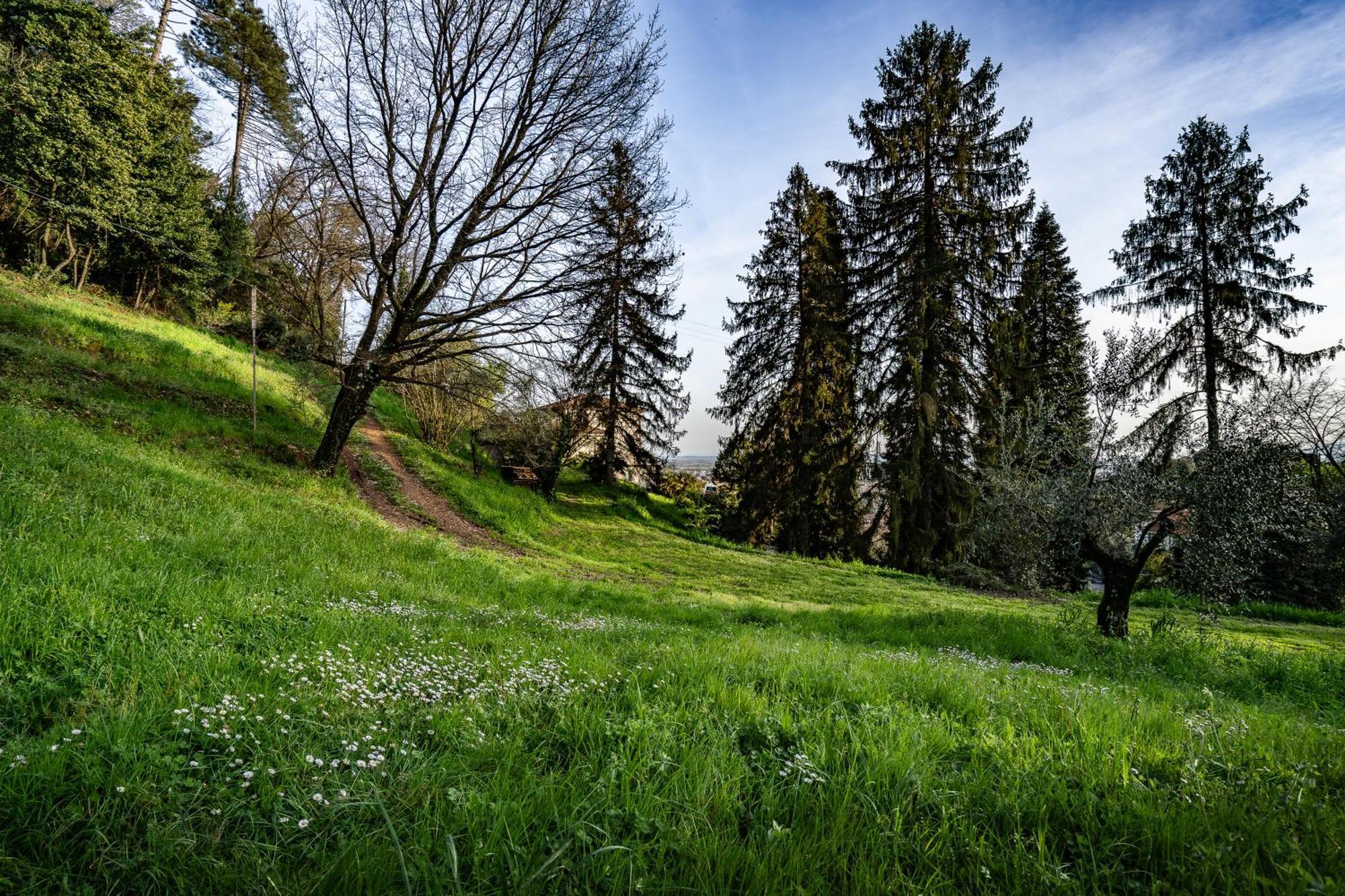 Agriturismo Terra Volonteri 蒙特卡蒂尼泰尔梅 外观 照片